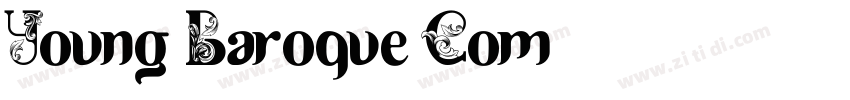 Young Baroque Com字体转换